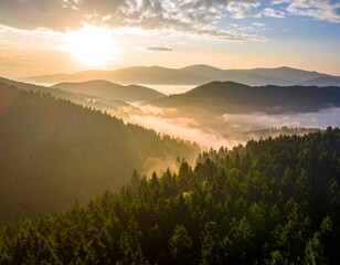 Sunrise over misty mountain forests