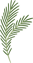 Christmas Tree Branch