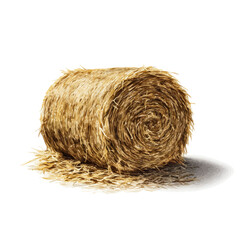 Hay Bale in watercolor style, vector illustration, isolated on white background.