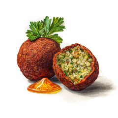 Falafel in watercolor style, vector illustration, isolated on white background.