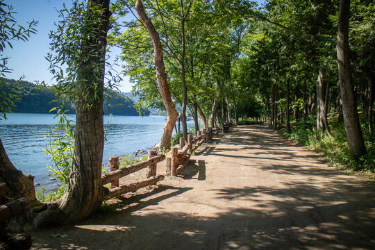 Nami Island in South Korea