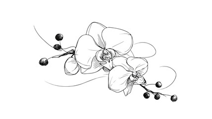 Elegant Luxury Orchid Groom Boutonniere Outline Illustration