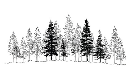 Fototapeta premium Minimalist Pine Tree Forest Illustration