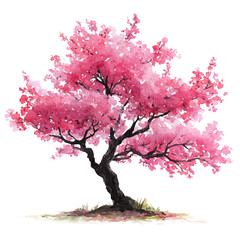 Japanese Cherry Blossom Tree, watercolor painting, vector illustration, isolated on a white background.