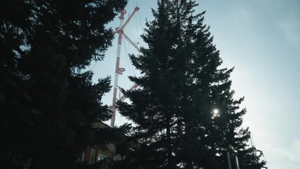 round view winter spruce crowns against blue sky, tall evergreens sway softly near city building, faint tower lines in background, cold morning light and crisp shadows, tranquil urban nature contrast - Powered by Adobe