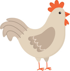 Funny rooster with beige feathers isolated on white. Illustration of domestic farm poultry