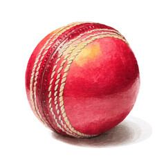 A watercolor painting of Cricket Ball, vector illustration on white background.