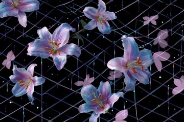 Elegant pink and purple orchids bloom against a striking black background, highlighting their beautiful, delicate petals