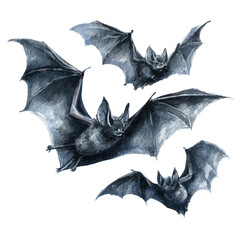 Halloween Bats in watercolor style, vector illustration, isolated on white background.