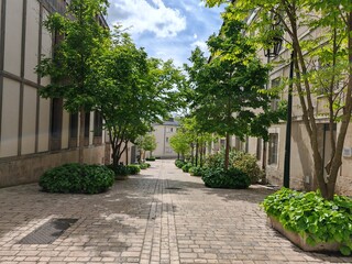 Charming cobblestone street with green trees and old buildings