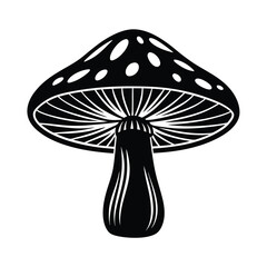 Abstract digital art composition featuring geometric shapes and subtle textures isolated on transparent background