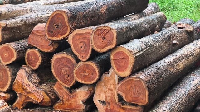 A pile of teak wood pieces.