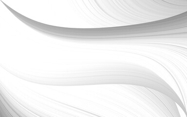 abstract white and silver are light pattern gray with the gradient is the with floor wall metal texture soft tech diagonal background black dark clean modern.