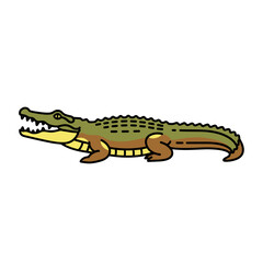 Crocodile