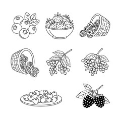 Vector art of berries, vector illustration of a set of different berries in black and white, blueberries, strawberries, raspberries