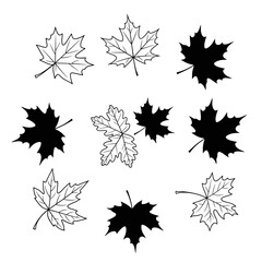 Vector art of collection of nine black and white maple leaf designs, perfect for autumn themes and natureinspired projects