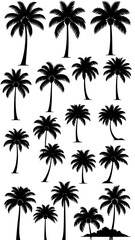 Obraz premium Collection of diverse, black silhouette palm trees against a bright white background.