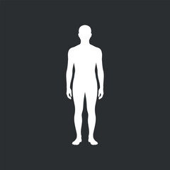 Human Body Silhouette Outline for Anatomy Study, Medical Illustration, and Generic Figure Representation
