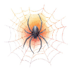 Halloween Spider Web Decoration in watercolor style, vector illustration, isolated on white background.