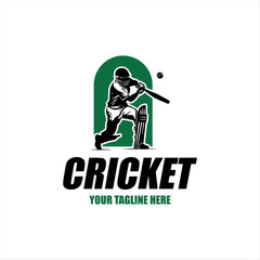 Vector set logo for cricket game for design illustration