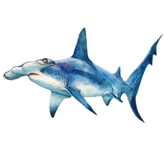 A watercolor painting of Hammerhead Shark, vector illustration on white background.