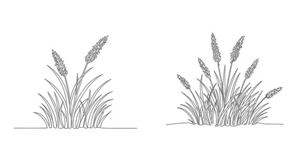 Simple sketches depict clusters of tall grass with delicate foliage