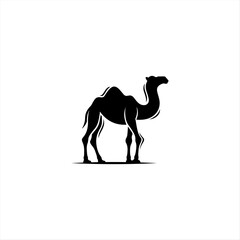 camel desert vintage logo design illustration