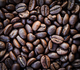 Coffee Beans
