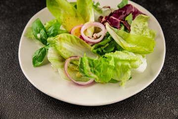 Chicory salad green leaf mix vegetables dish natural product tasty snack fresh delicious gourmet food background on the table rustic top view copy space keto and paleo diet vegan and vegan food