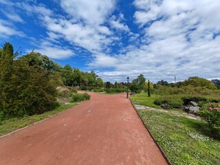 Red walking path in green park under blue sky