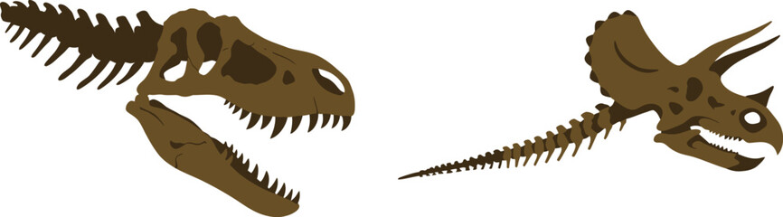 Detailed dinosaur skull and frill illustration perfect for paleontological designs on transparent background © nhpvect02