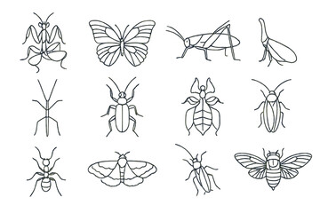 Fototapeta premium Tropical Insect Icons. Line style icons of tropical insects: orchid mantis, blue morpho butterfly, green katydid, lanternfly;