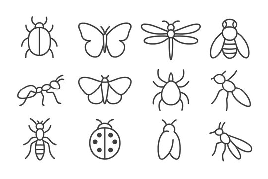 Bug Silhouette Icons. Line style icons of simplified bug silhouettes: beetle outline, butterfly shape, dragonfly contour, bee icon