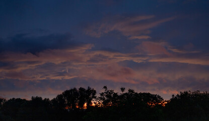 Fototapeta premium Colorful sunset illuminating cloudscape over dark forest silhouette
