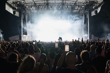 crowd of people in a concert