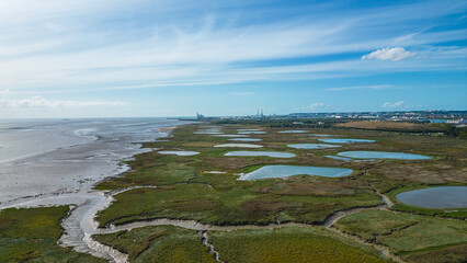 Aerial view of Pont de Normandie, the iconic cable-stayed bridge spanning the Seine River in...