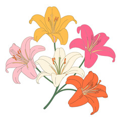 Digital illustration of five elegant lilies in bloom