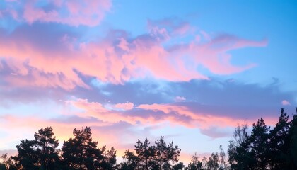 Fototapeta premium Colorful sunset sky over trees