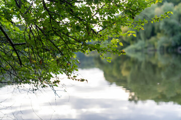  Forest trees reflected in calm lake water with green grass in foreground. Landscape nature photography. Summer season outdoor and eco tourism concept for design and print
