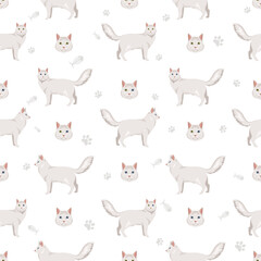 Turkish Angora Cat clipart. All coat colors set.  All cat breeds characteristics infographic. Vector illustration