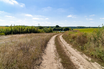 Dirt country road between cornfield and forest under blue sky. Rural landscape photography. Agriculture and countryside concept. Design for poster, wallpaper, banner, postcard. Perspective view