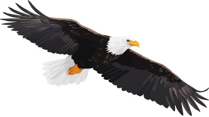 Obraz premium Majestic Eagle Soaring Through the Air: Stunning Wildlife Photography