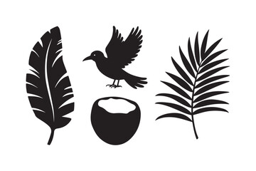 Black silhouette of a bird feather coconut and palm leaf