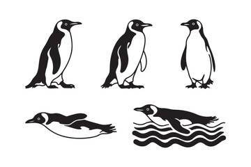 Collection of penguin illustrations in various poses
