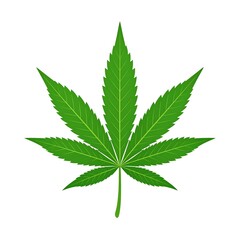 Vibrant green cannabis leaf illustration against a stark white background.