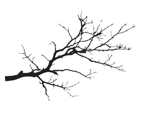 Bare branch silhouette design with minimal elegant natural detail