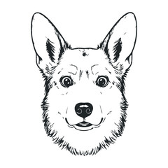 Playful corgi portrait digital illustration animal art cheerful environment pet concept. Vector illustration