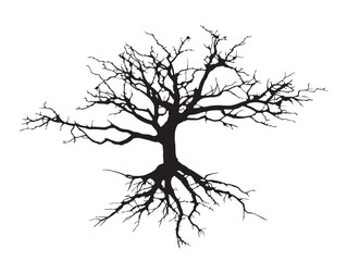Fototapeta premium Artistic branching taproot silhouette design with natural simplicity