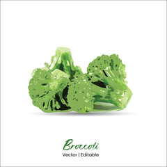 Broccoli vector Broccoli realistic vector art