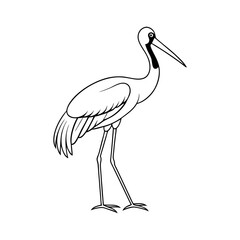 Saddle Billed Stork Outline Vector on White Background